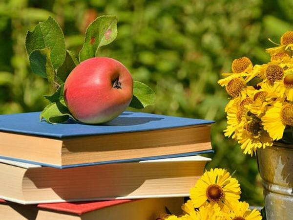 Bücher Apfel Unterrichtsmaterial